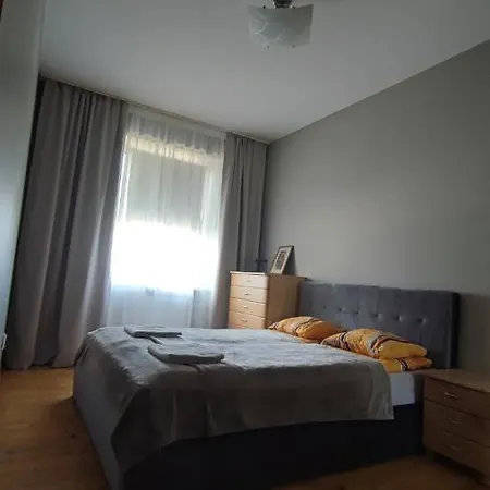 アパート Dvieju Kambariu Apartamentai Klaipedos Centre クライペダ